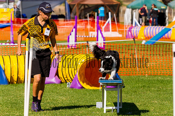 _MG_3534
