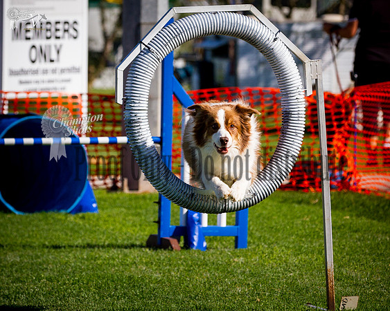 _MG_3382