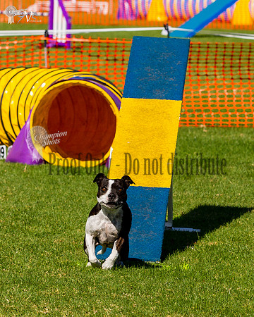 _MG_3673
