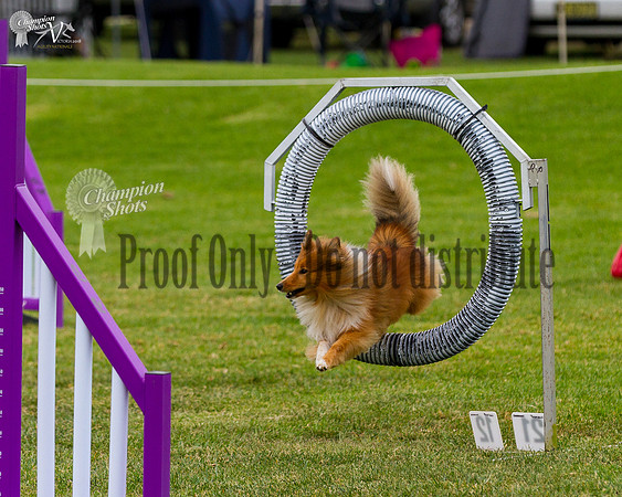 _MG_5801