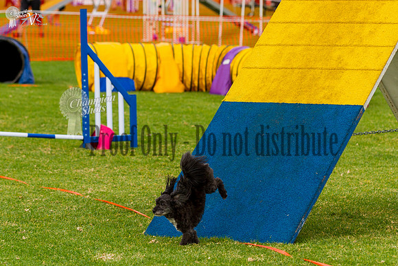 _MG_5458