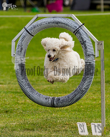 _MG_5893