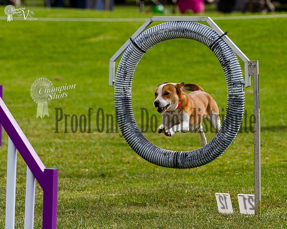 _MG_5836