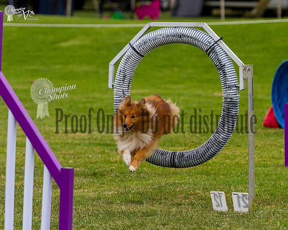 _MG_5807