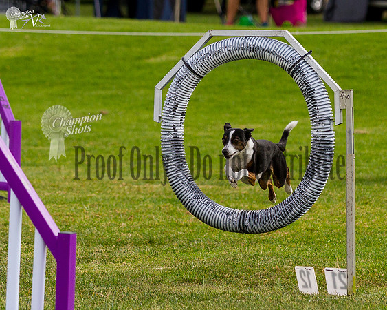 _MG_5737
