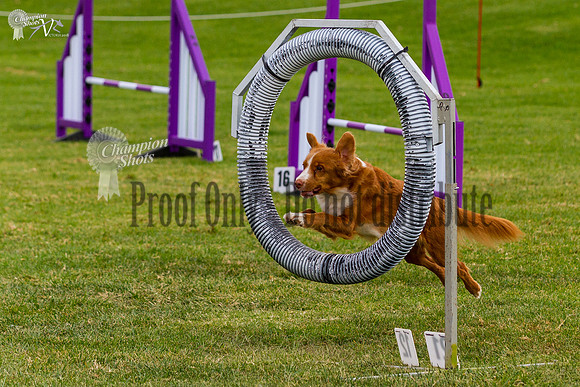 _MG_5701