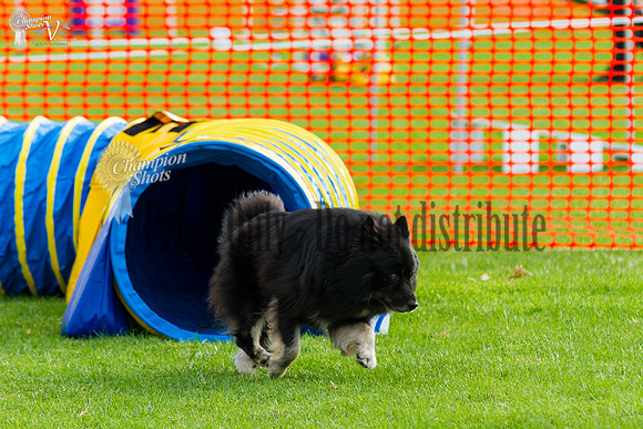_MG_5418