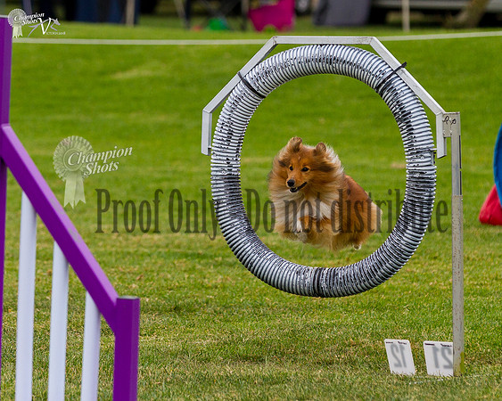 _MG_5806
