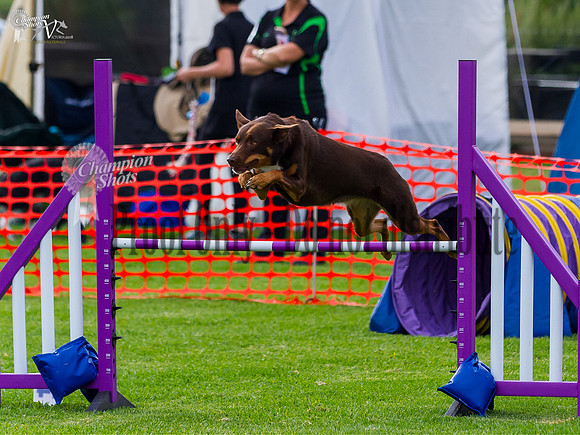 _MG_5595-Edit