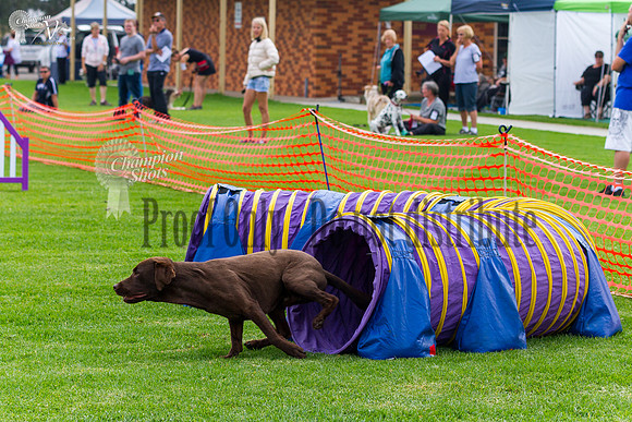 _MG_5557