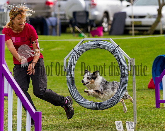 _MG_5907