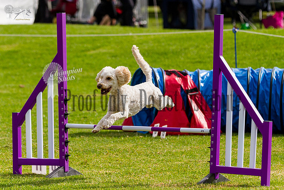 _MG_5917