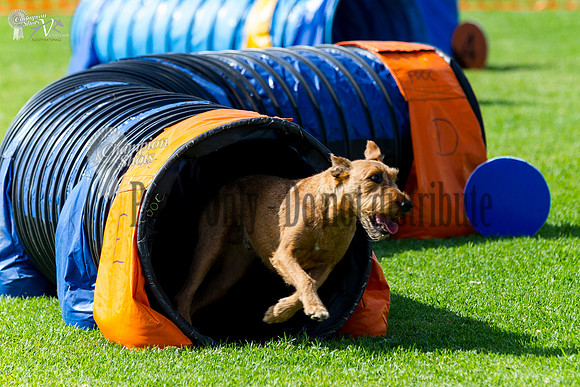 _MG_6055