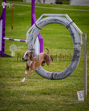 _MG_5365