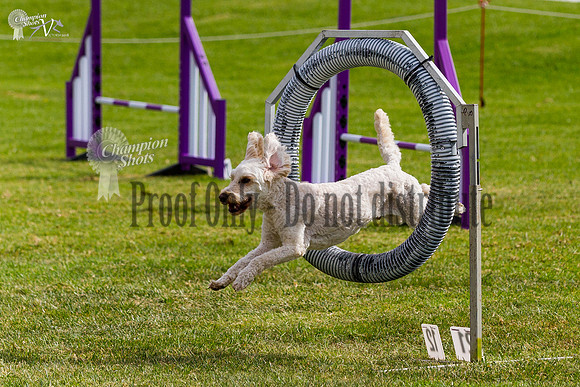 _MG_5923