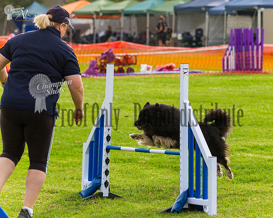 _MG_5420