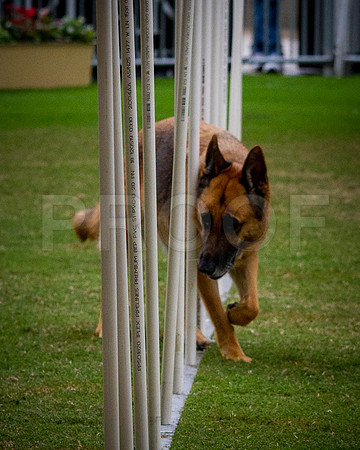 _MG_2091