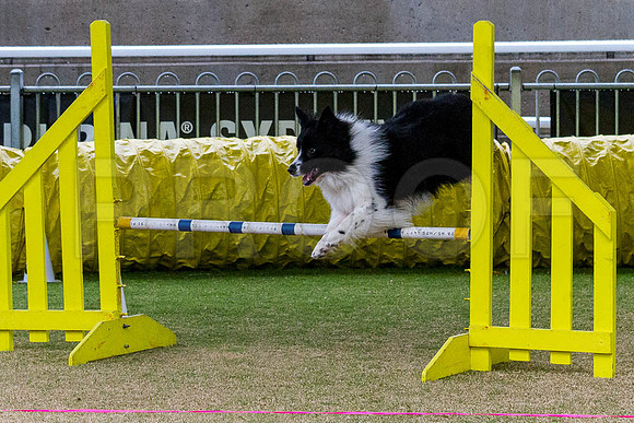 _MG_1545