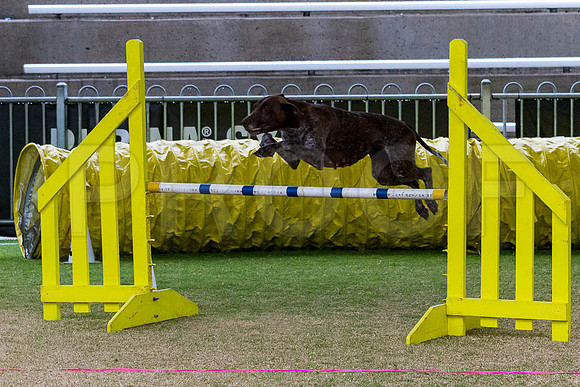 _MG_1846