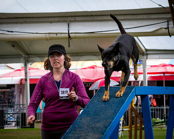 _MG_2178