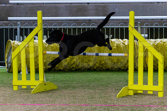 _MG_1763