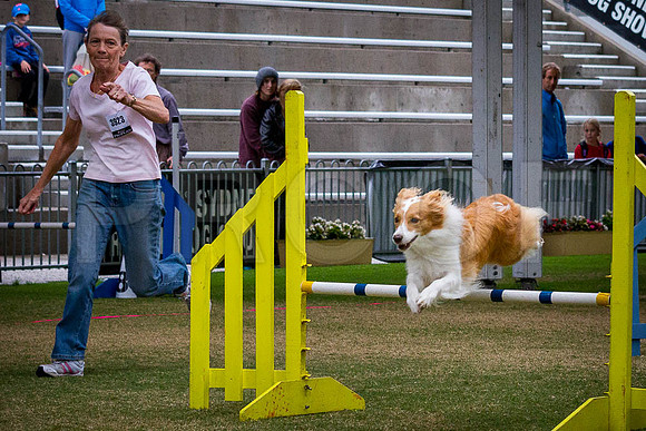 _MG_2240