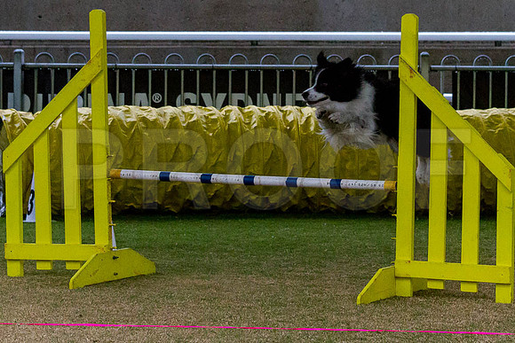 _MG_1411