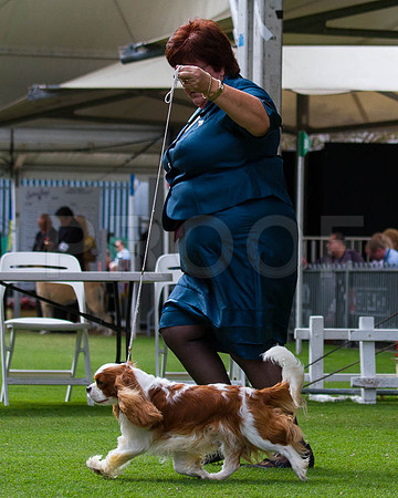 _MG_4560