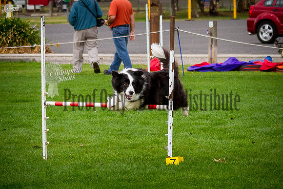 _MG_7333