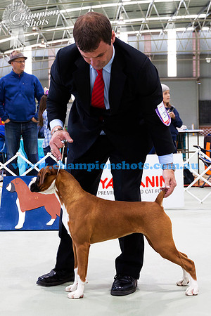 Baby Puppy Bitch 1stCHIZACK HOT JAM