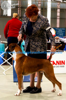 Puppy Dog 1stSJECOIN SPIES AND LIES