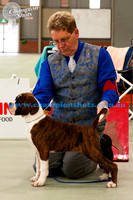 Baby Puppy Dog 2ndLAMBADA IM A BAD BOY