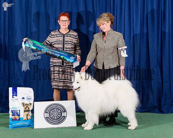 Open In Show - Ch Nordicharm Royal Wizard
