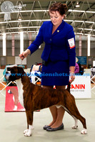pen Dog 2ndGR CH SANLIAN THE ADVENTURER (Imp NZ)