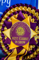 Sporting Terier Club of Victoria Sunday Show