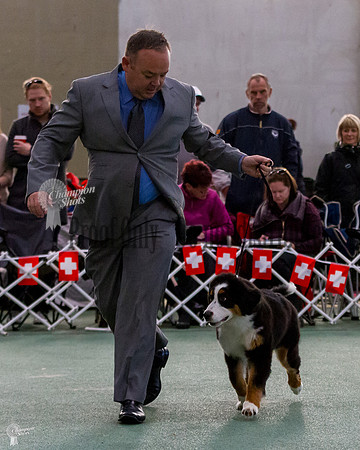 _MG_0584