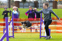Action Dog Agility and Jumping April 2024
