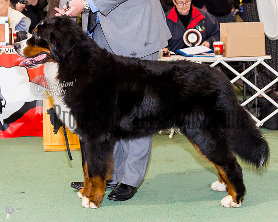 0T6A9437