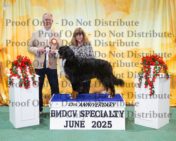 Reserve Bitch Challenge - Ch Alpenhund Jenta Mi