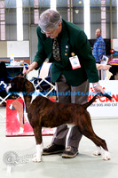 Junior Dog 2ndBOMARK HOT ONYA HEELS