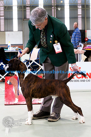 Junior Dog 2ndBOMARK HOT ONYA HEELS