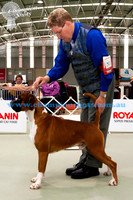 Open Dog 3rdCH LAMBADA ROMAN ABOUT