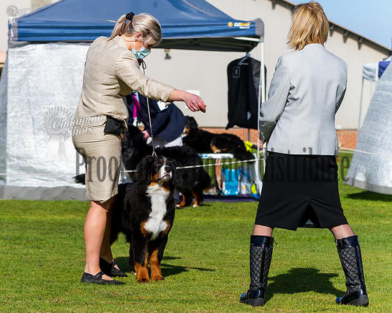 _MG_3901-2