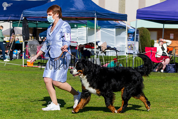 _MG_0801