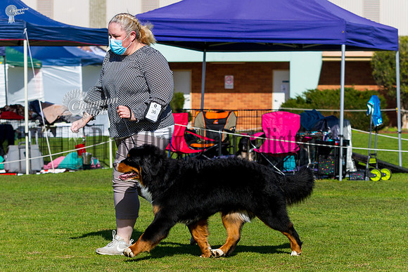 _MG_0436