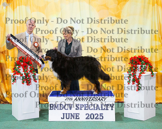 Australian Bred In Show - Montchalet Ever So Clever