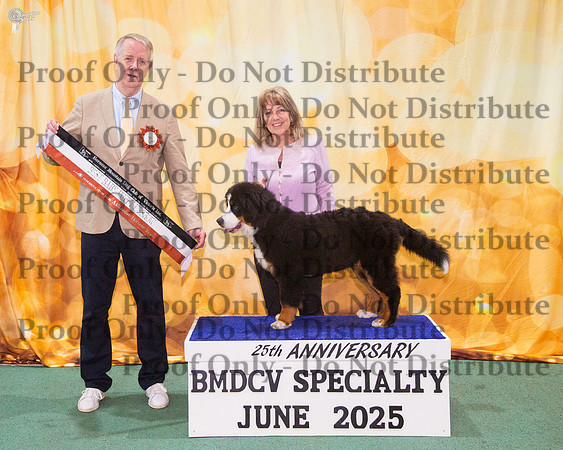 Baby Puppy In Show - Abeleere Hot Hot Hot