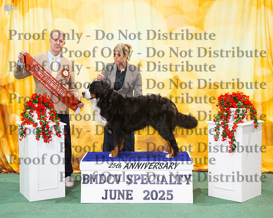 Opposite State Bred In Show - Montchalet Spellbound