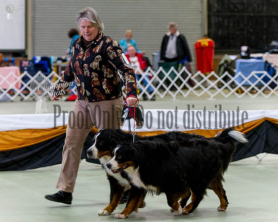 _MG_0939