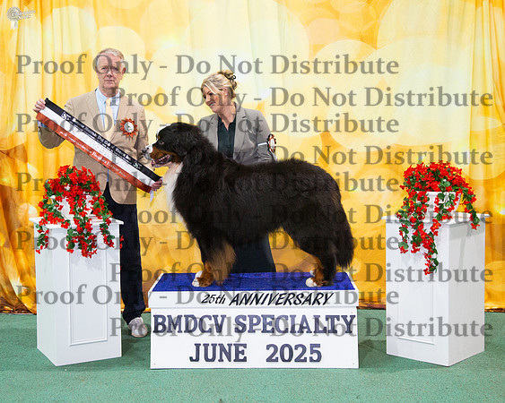 State Bred In Show - Montchalet Meant To Be
